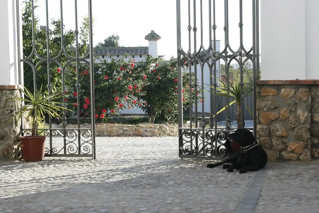 El Fogon Del Duende Bed & Breakfast Arcos de la Frontera Spain