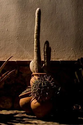 El Fogon Del Duende Bed & Breakfast Arcos de la Frontera Spain